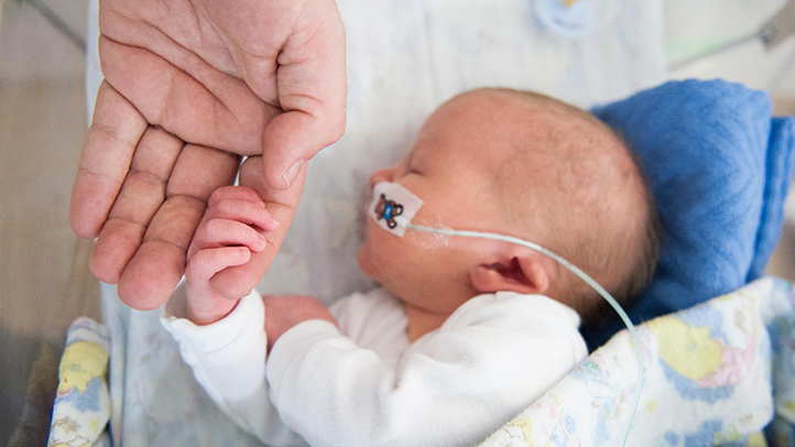 Premature baby in NICU with nasal cannula, parent's hand gently holding baby's tiny hand